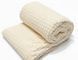 Плед Ecotton 200х220 см Well Soft Lux із мікрофібри Beige молочний 729245 фото 1